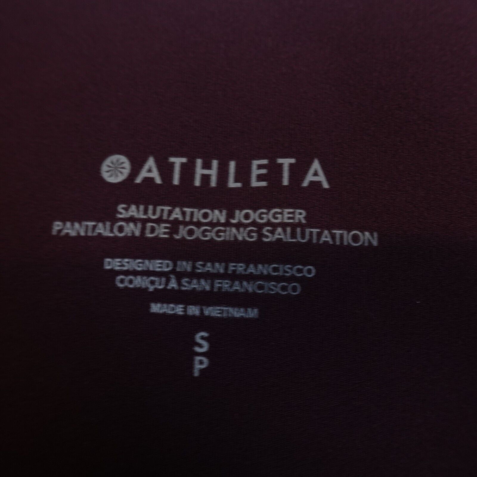 Athleta Activewear Pants